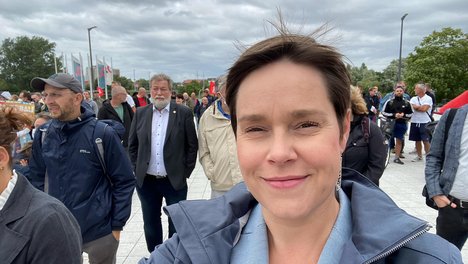 Demo_mit_der_IG_Metall_Rostock_Schwerin.jpg